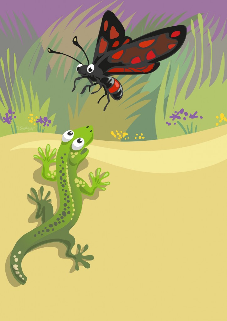 4-Larry-+-Burnet-Moth-2
