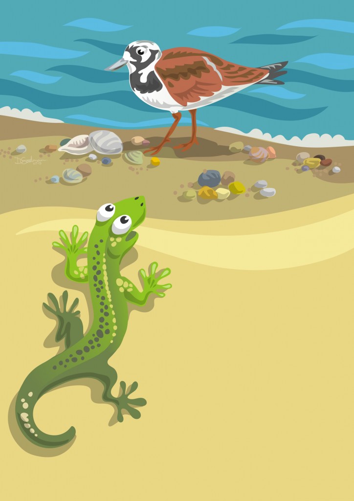 5-Larry-+-Turnstone-2