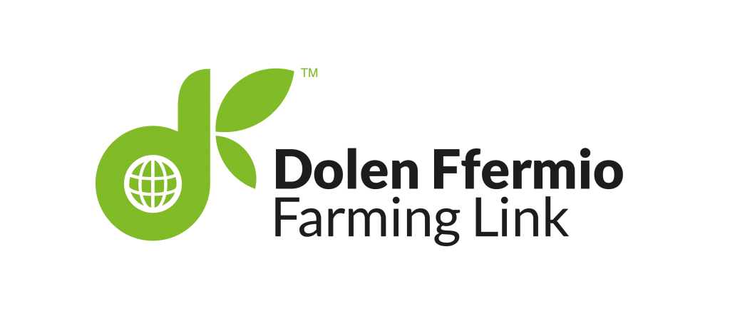 df-logo-rgb-png