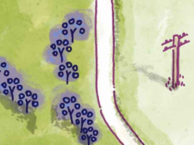 Coronation Heritage Orchard map