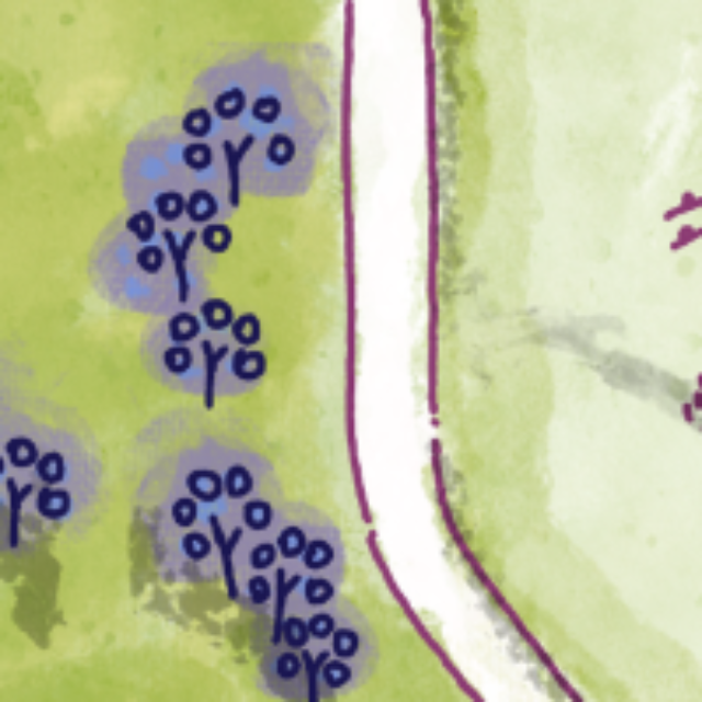 Coronation Heritage Orchard map